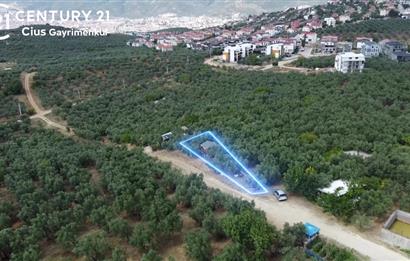 C21 Cius; İmara 200 m Mesafede Manzaralı Satılık Hobi Bahçesi