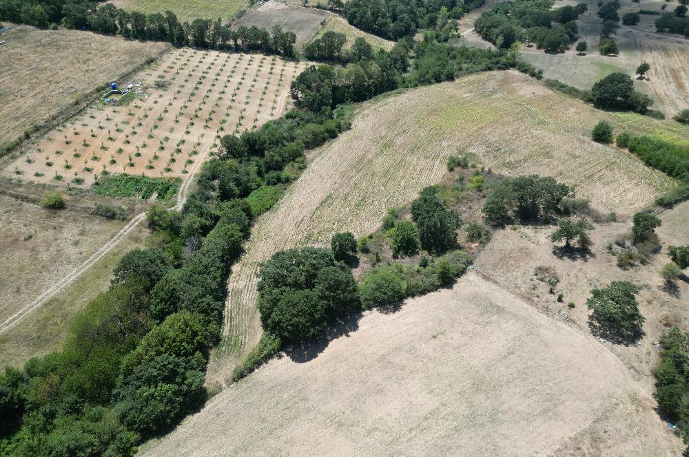 C21; KURUDERE KÖYÜ'NDE YATIRIMLIK 7850 M2 SATILIK TARLA