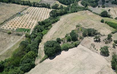 C21; KURUDERE KÖYÜ'NDE YATIRIMLIK 7850 M2 SATILIK TARLA