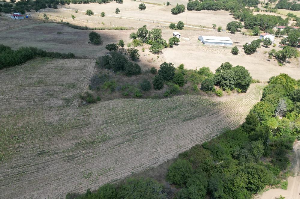 C21; KURUDERE KÖYÜ'NDE YATIRIMLIK 7850 M2 SATILIK TARLA