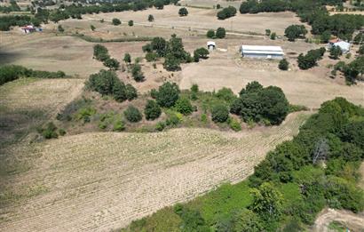 C21; KURUDERE KÖYÜ'NDE YATIRIMLIK 7850 M2 SATILIK TARLA