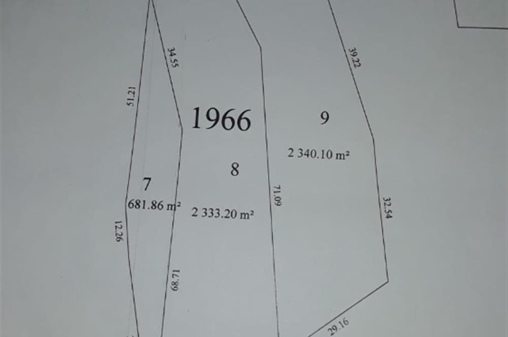 C21 Cius; Umurbey'de İmar Sınırı Manzaralı 681 M2 Zeytinlik