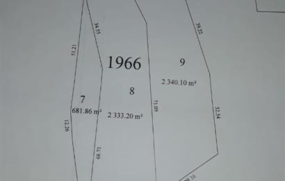 C21 Cius; Umurbey'de İmar Sınırı Manzaralı 681 M2 Zeytinlik