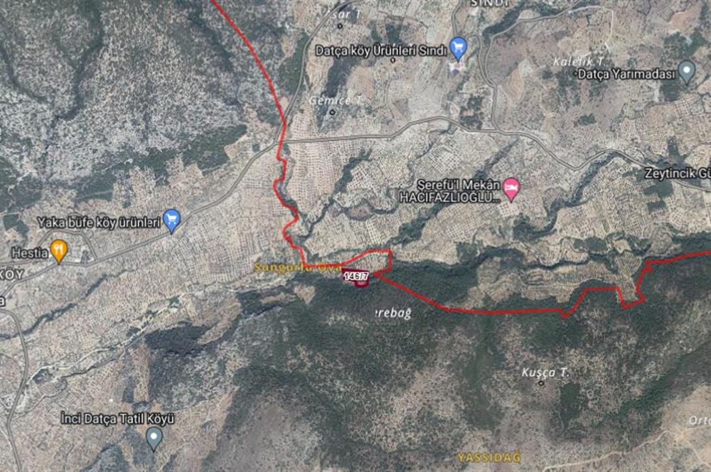 Datça Palamutbükü Yaka Mahallesinde 5.271m2 Zeytinlik