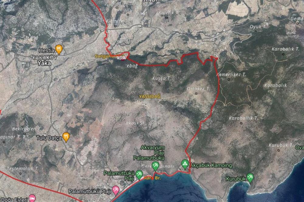 Datça Palamutbükü Yaka Mahallesinde 5.271m2 Zeytinlik