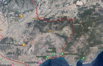 Datça Palamutbükü Yaka Mahallesinde 5.271m2 Zeytinlik