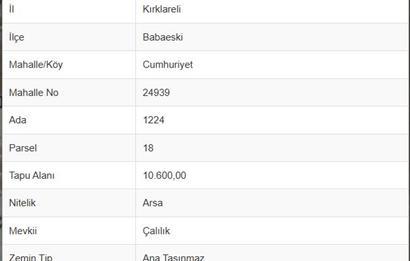 C21; BABAESKİ OSB'DE SATILIK 10.600 M2  SANAYİ İMARLI ARSA