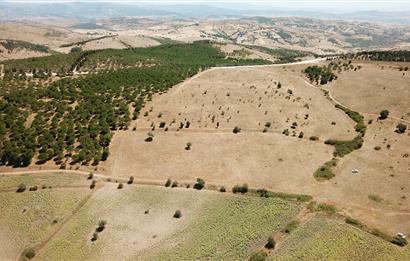 C21 WİNNER KARAKAYA KÖYÜ 19.661 M2 SATILIK TARLA