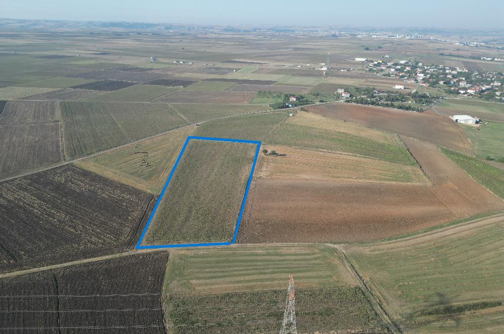 C21; MURATLI AŞAĞISEVİNDİKLİ SATILIK 12.500 M2 TARLA 50+MT CEPHELİ