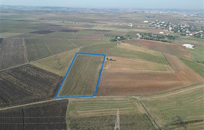 C21; MURATLI AŞAĞISEVİNDİKLİ FOR SALE 12.500 M2 FIELD WITH 50+ MT FACED