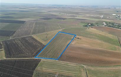 C21; MURATLI AŞAĞISEVİNDİKLİ FOR SALE 12.500 M2 FIELD WITH 50+ MT FACED