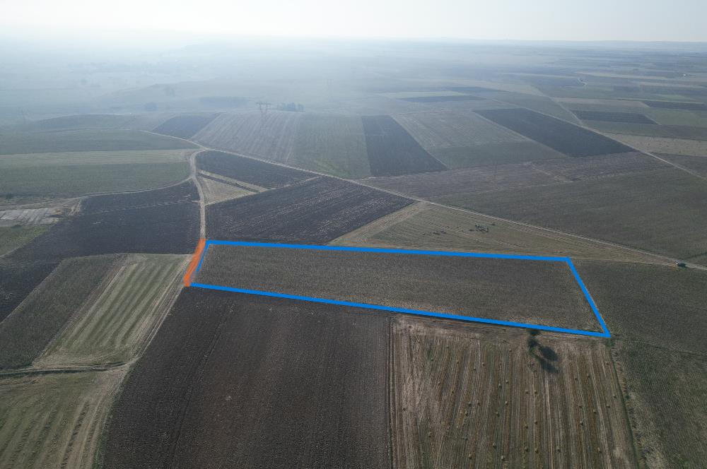 C21; MURATLI AŞAĞISEVİNDİKLİ FOR SALE 12.500 M2 FIELD WITH 50+ MT FACED