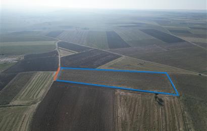 C21; MURATLI AŞAĞISEVİNDİKLİ SATILIK 12.500 M2 TARLA 50+MT CEPHELİ