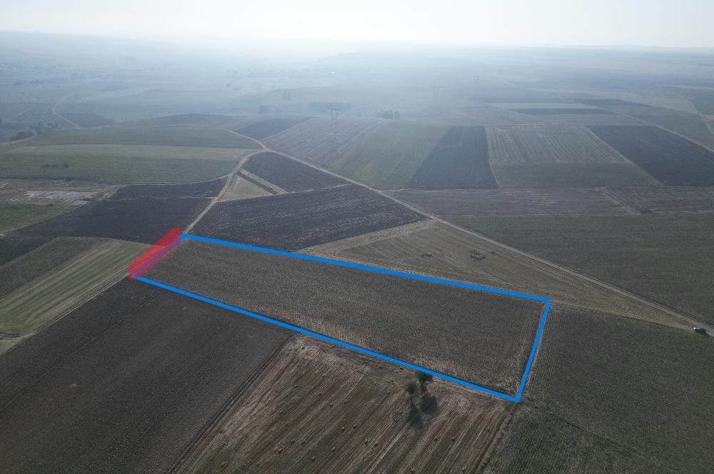 C21; MURATLI AŞAĞISEVİNDİKLİ FOR SALE 12.500 M2 FIELD WITH 50+ MT FACED