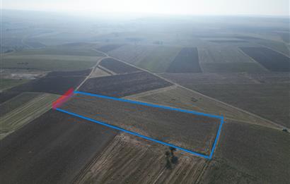 C21; MURATLI AŞAĞISEVİNDİKLİ SATILIK 12.500 M2 TARLA 50+MT CEPHELİ