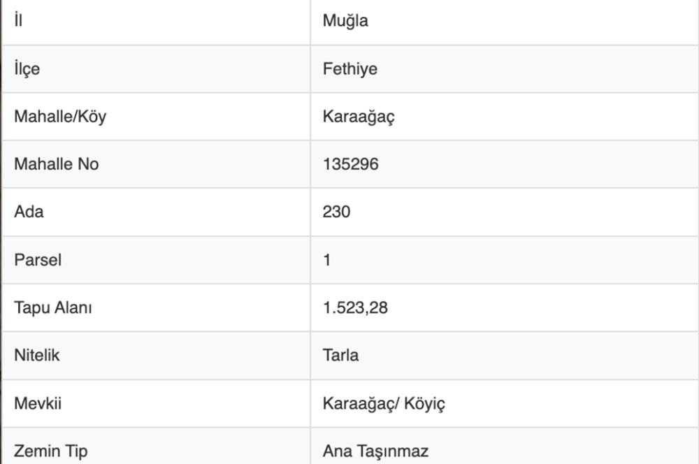 Fethiye Karaağaç Merkez de Satılık Arsa