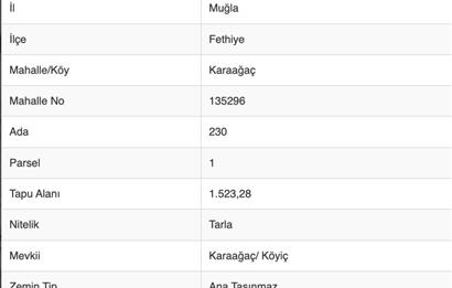 Fethiye Karaağaç Merkez de Satılık Arsa