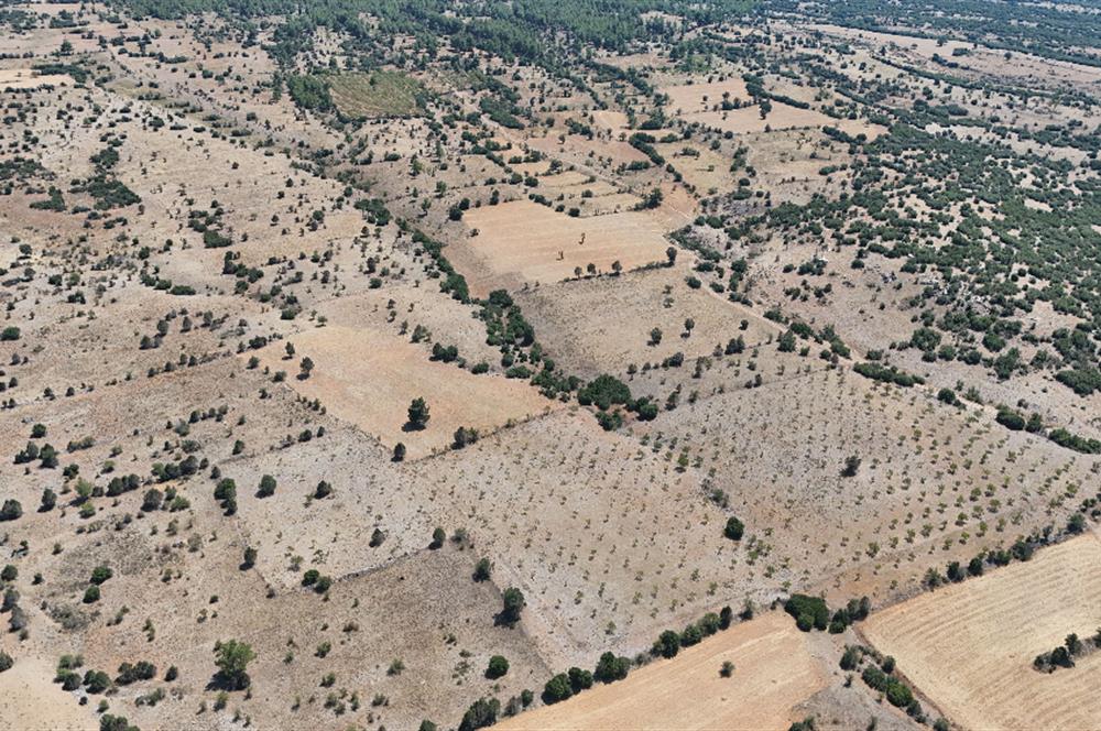 TAVAS BALKICA'DA SATILIK CEVİZ BAHÇESİ