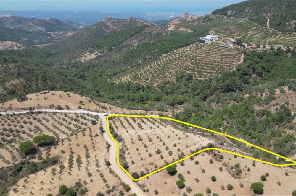 Gömeç Kubaşlar'da Satılık, 8471 m², Yolu ve Elektriği Olan Arazi