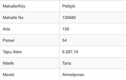 C21 TERAS - BOLU PELİTÇİK KÖYÜ SATILIK YATIRIMLIK TARLA