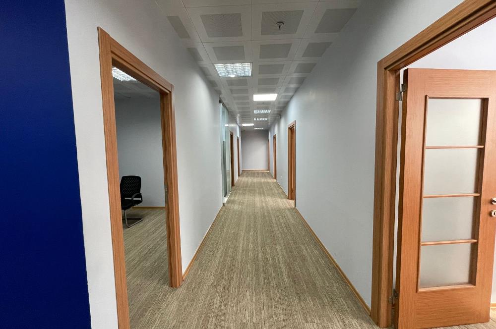 Papirüs Plaza Full + Full Eşyalı Taşınmaya Hazır Kiralık Ofis