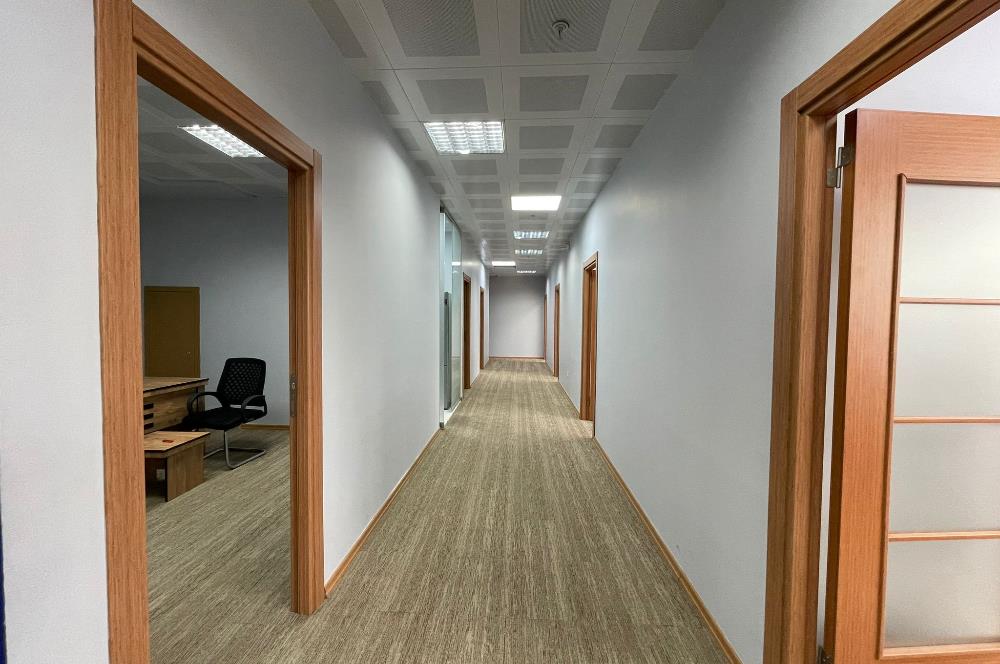 Papirüs Plaza Full + Full Eşyalı Taşınmaya Hazır Kiralık Ofis