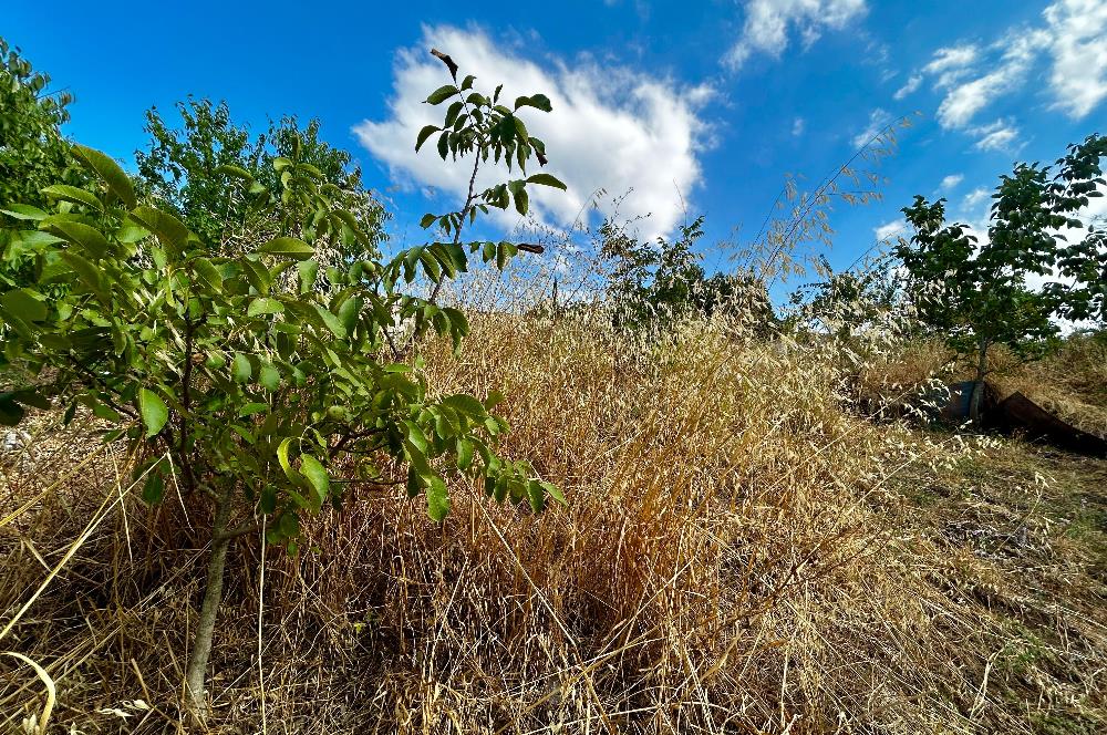 C21Cius;Yeniköy'de Konut İmarlı Yatırımlık Körfez Manzaralı Arsa