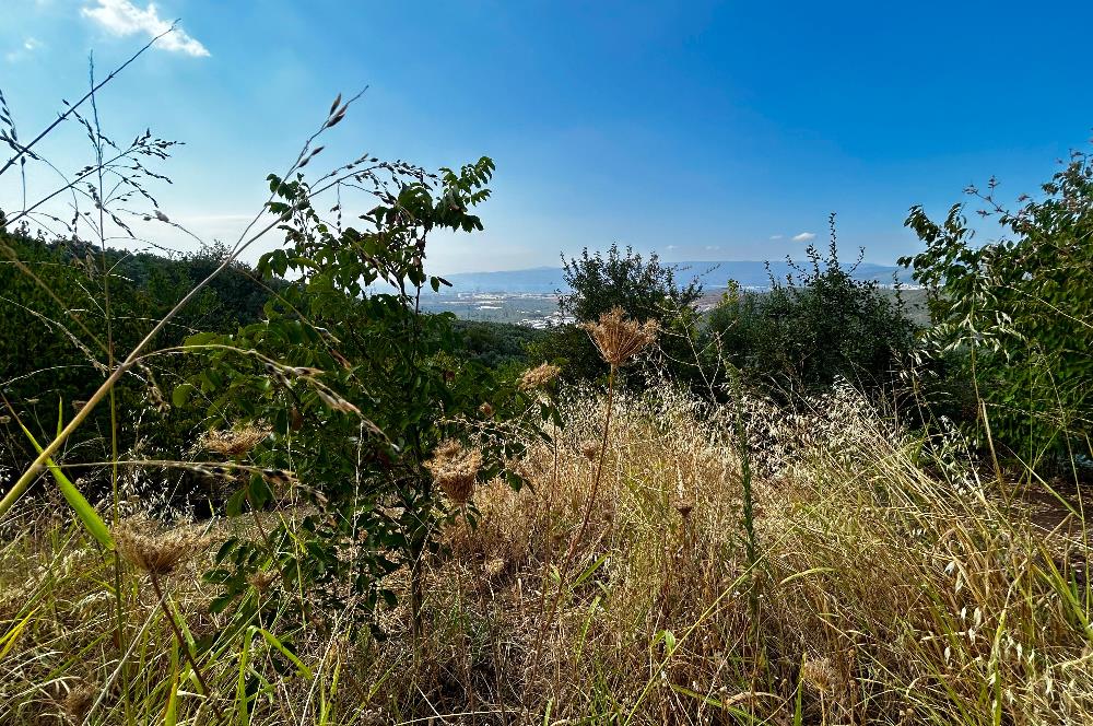 C21Cius;Yeniköy'de Konut İmarlı Yatırımlık Körfez Manzaralı Arsa