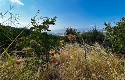 C21Cius;Yeniköy'de Konut İmarlı Yatırımlık Körfez Manzaralı Arsa