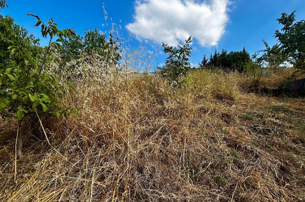 C21Cius;Yeniköy'de Konut İmarlı Yatırımlık Körfez Manzaralı Arsa