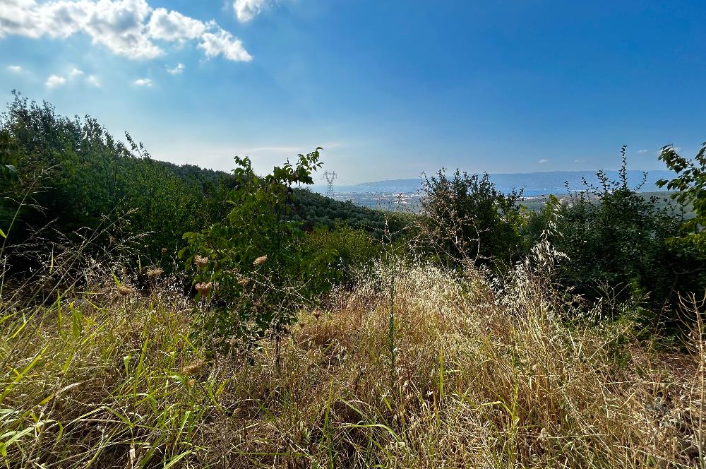 C21Cius;Yeniköy'de Konut İmarlı Yatırımlık Körfez Manzaralı Arsa