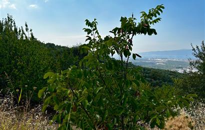 C21Cius;Yeniköy'de Konut İmarlı Yatırımlık Körfez Manzaralı Arsa