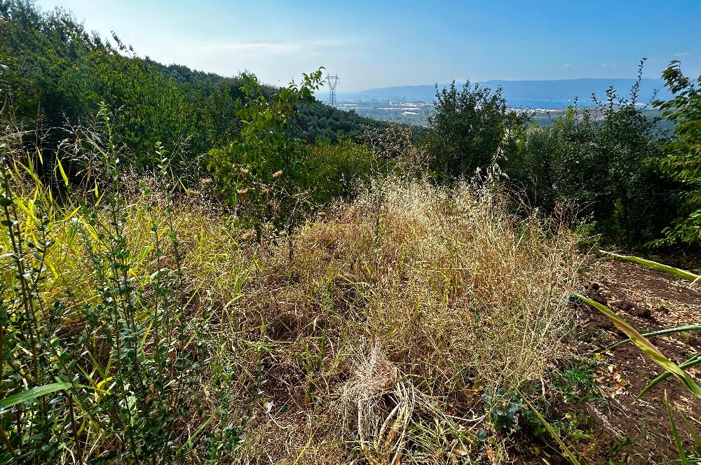 C21Cius;Yeniköy'de Konut İmarlı Yatırımlık Körfez Manzaralı Arsa