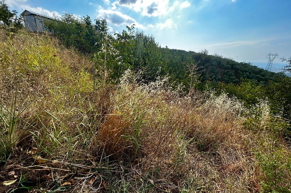 C21Cius;Yeniköy'de Konut İmarlı Yatırımlık Körfez Manzaralı Arsa