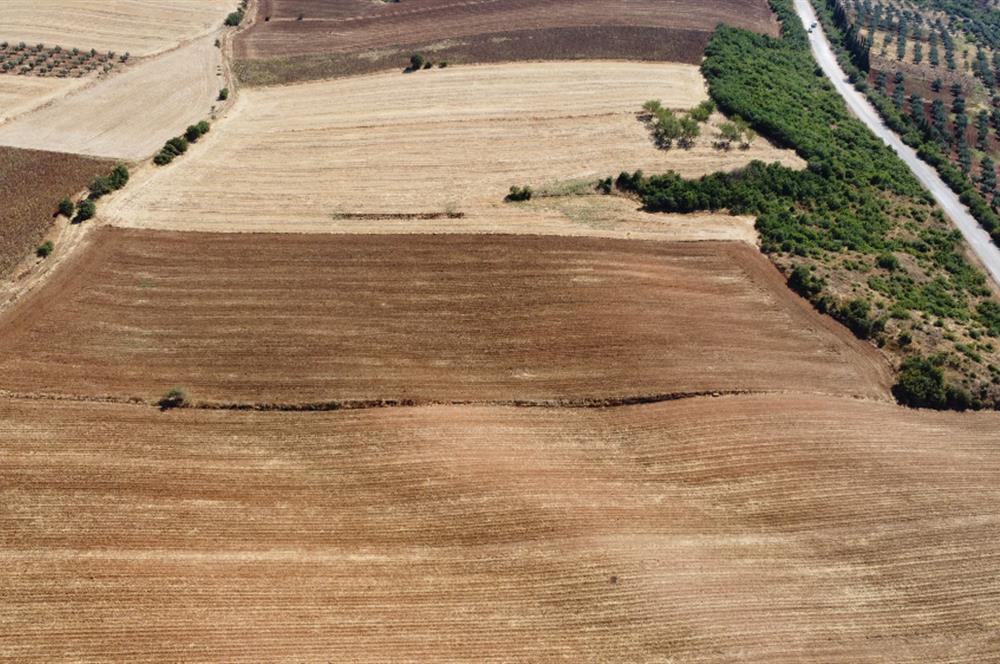 Bandırma Yeniyenice'de 15.700 m2 Satılık Tarla