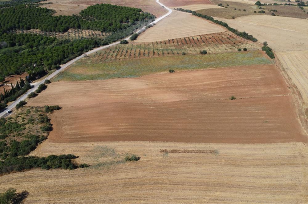 Bandırma Yeniyenice'de 15.700 m2 Satılık Tarla