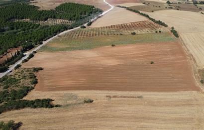 Bandırma Yeniyenice'de 15.700 m2 Satılık Tarla