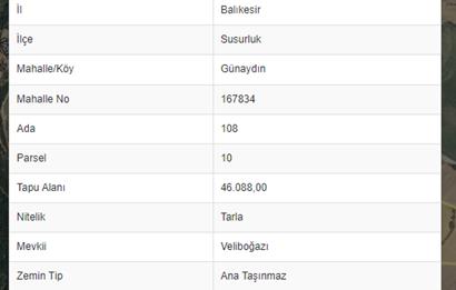 Susurluk Günaydın Mahallesinde 46.000 m2 Tarla