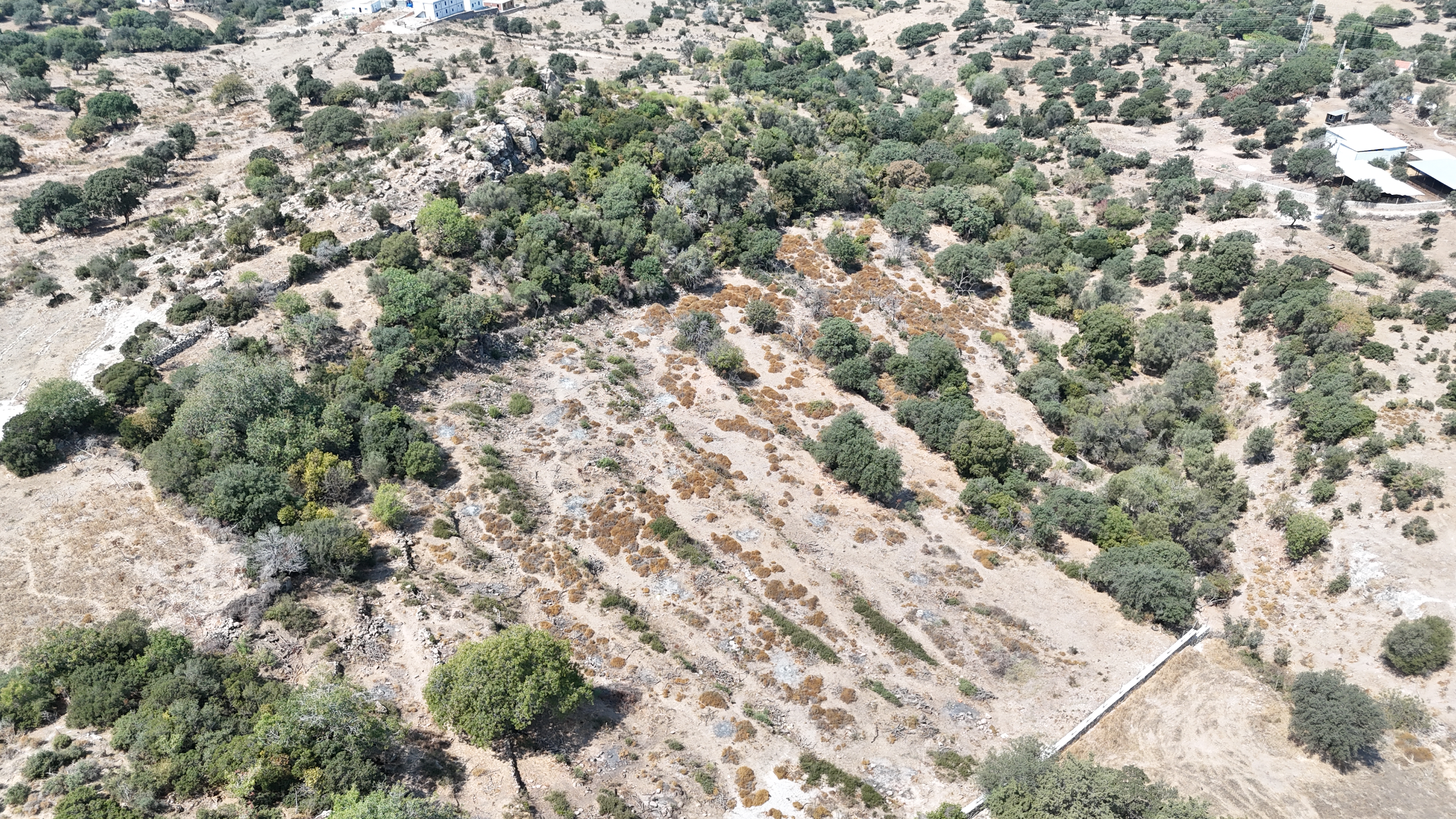 Bodrum İslamhanelerin de Satılık Kooperatif Hissesi 500 m2