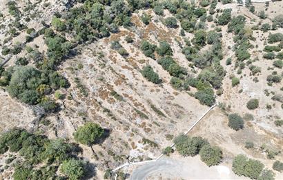 Bodrum İslamhanelerin de Satılık Kooperatif Hissesi 500 m2