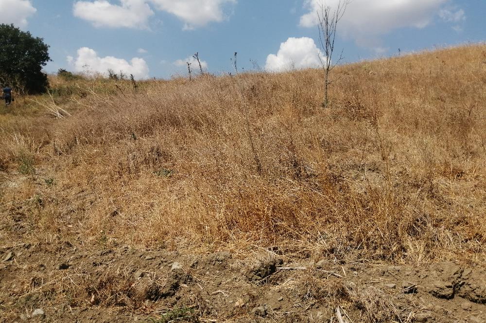 C21 LOCA'DAN BALIKESİR KARESİ ÇAYPINAR DA 5750 M2 SATILIK TARLA