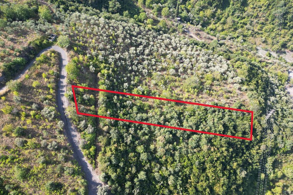 Kocaeli Gölcük Körfez 2254m2 Konut İmarlı Deniz Manzaralı Satılık Arsa