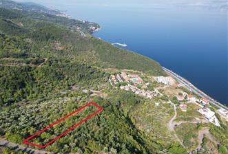 Kocaeli Gölcük Körfez 2254m2 Konut İmarlı Deniz Manzaralı Satılık Arsa