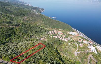 Kocaeli Gölcük Körfez 2254m2 Konut İmarlı Deniz Manzaralı Satılık Arsa