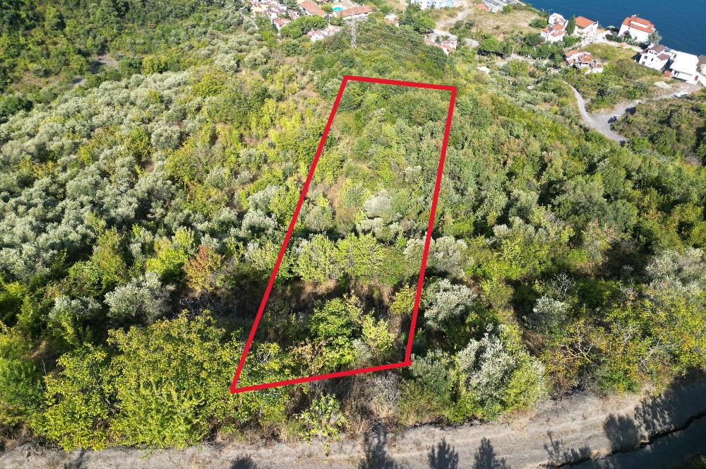 Kocaeli Gölcük Körfez 2254m2 Konut İmarlı Deniz Manzaralı Satılık Arsa