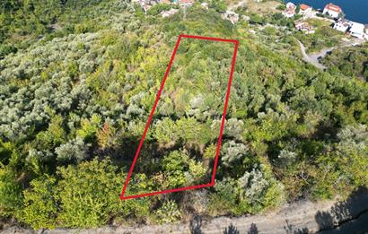 Kocaeli Gölcük Körfez 2254m2 Konut İmarlı Deniz Manzaralı Satılık Arsa