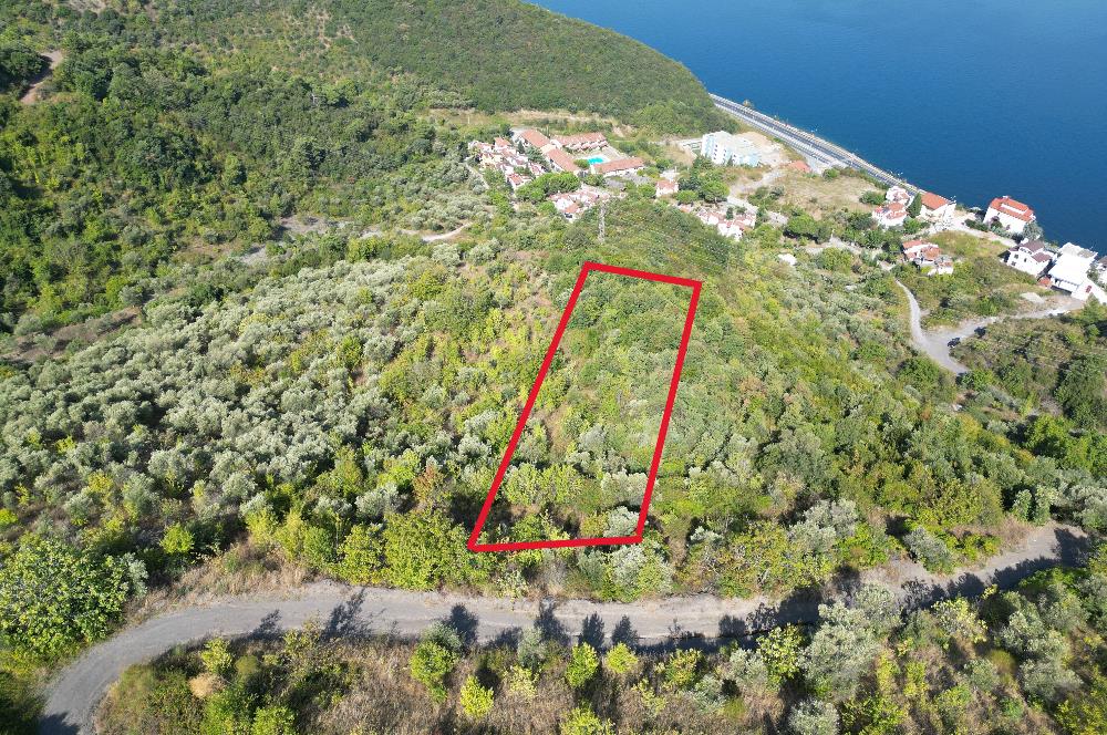 Kocaeli Gölcük Körfez 2254m2 Konut İmarlı Deniz Manzaralı Satılık Arsa