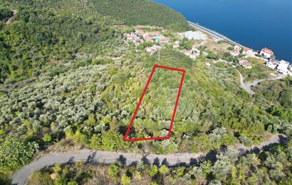 Kocaeli Gölcük Körfez 2254m2 Konut İmarlı Deniz Manzaralı Satılık Arsa