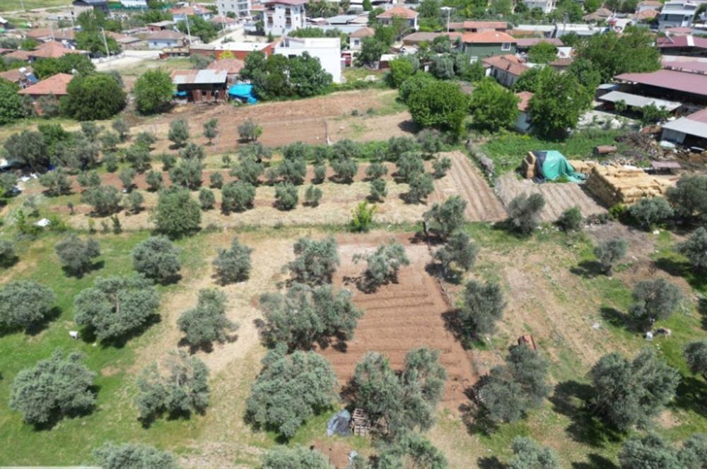 Villa / Konut İmarlı Satılık 360 m2 arsa