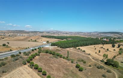 Balıkesir- Edremit Ana Yoluna 102 mt. Cephesi Olan Satılık Tarla 